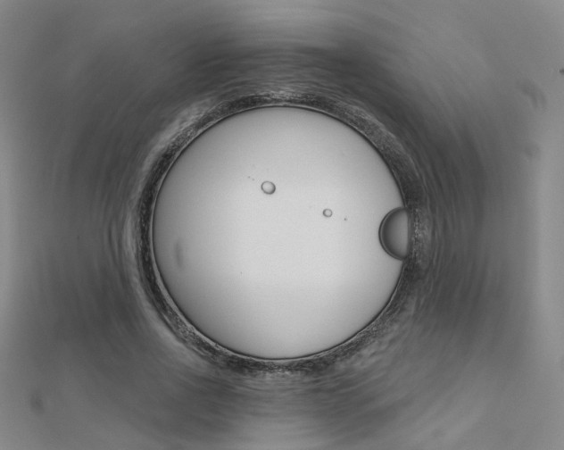 X0000112160734200908070938