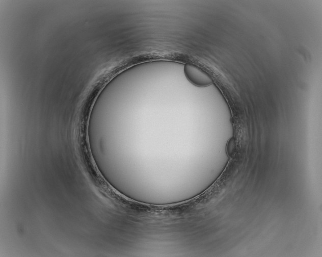 X0000112160736200908070938