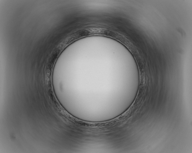 X0000112160737200908070938