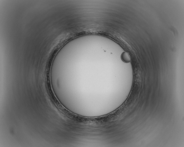 X0000112160738200908070938