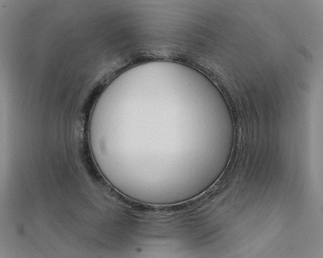 X0000112160739200908070938