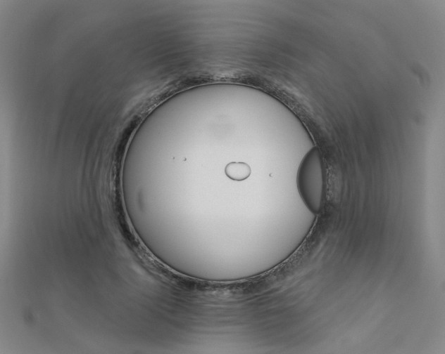 X0000112160740200908070938