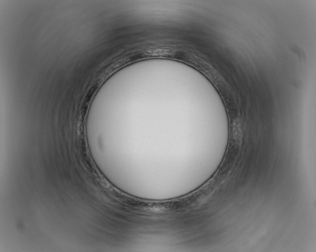 X0000112160741200908070938