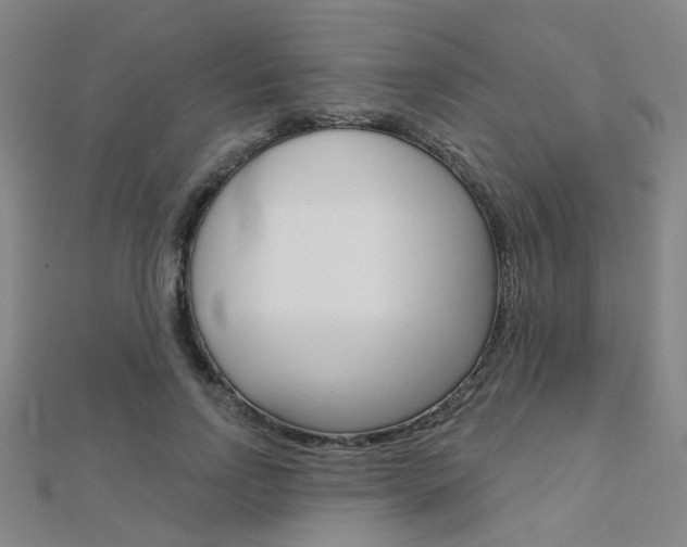 X0000112160742200908070938