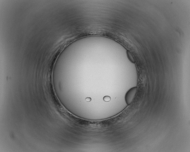 X0000112160744200908070938