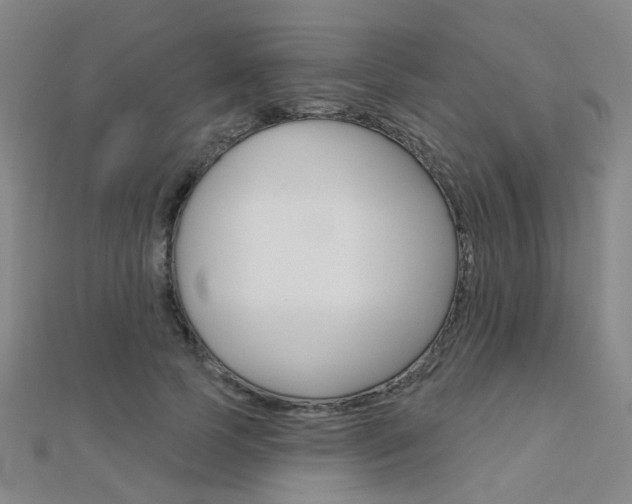 X0000112160745200908070938