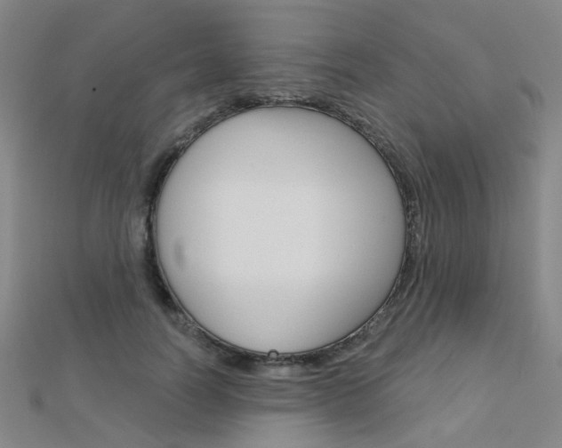 X0000112160746200908070938