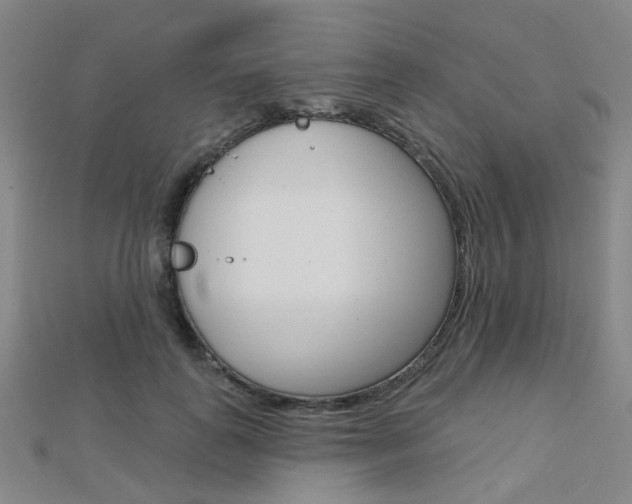 X0000112160747200908070938