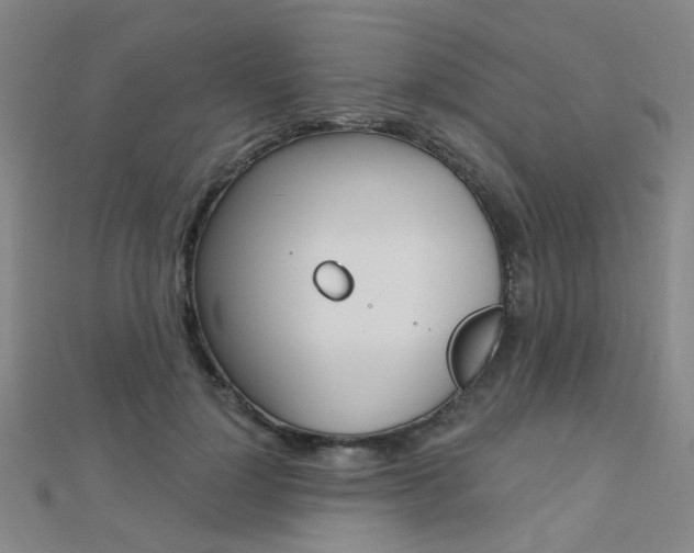 X0000112160748200908070938