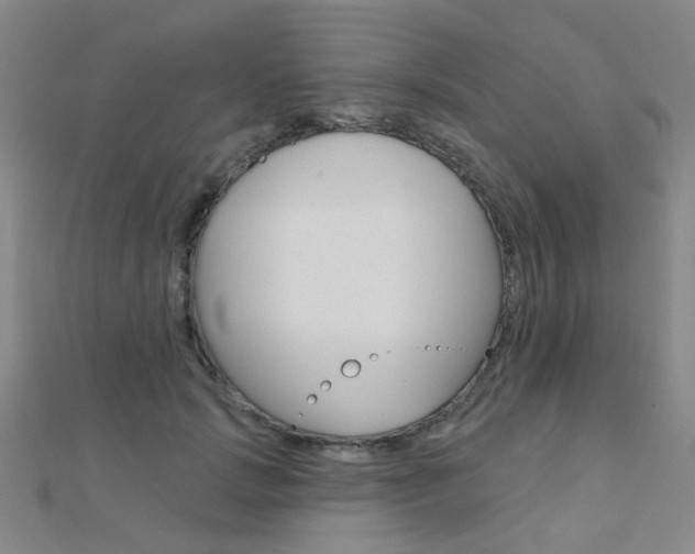 X0000112160749200908070938