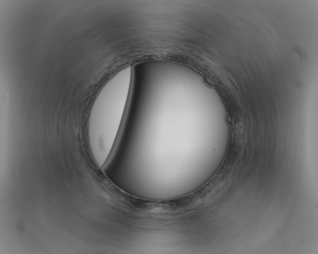 X0000112160750200908070938
