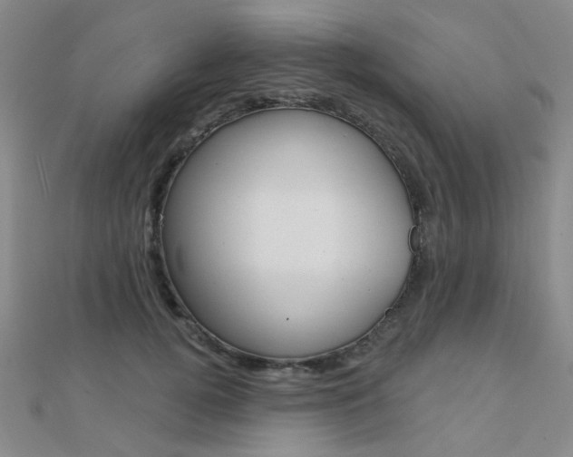 X0000112160752200908070938