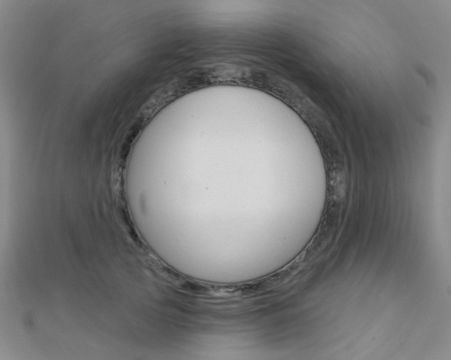 X0000112160753200908070938