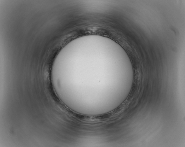 X0000112160754200908070938
