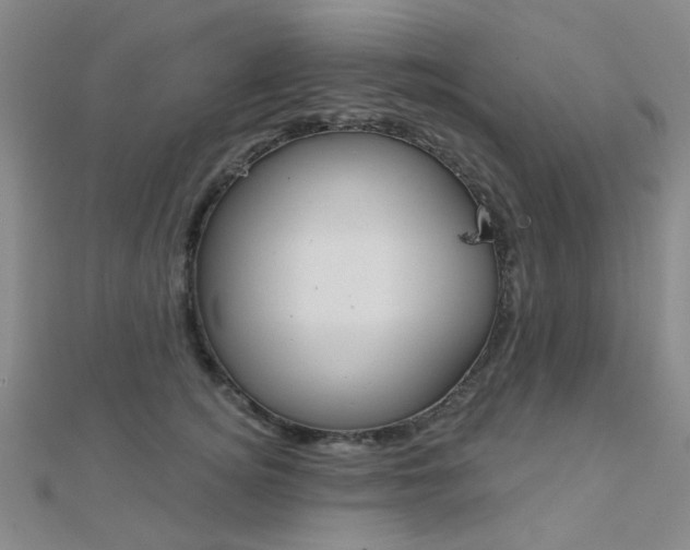 X0000112160756200908070938