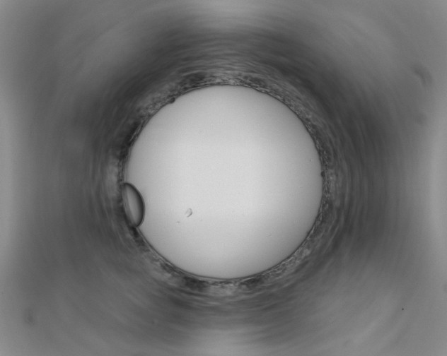 X0000112160757200908070938