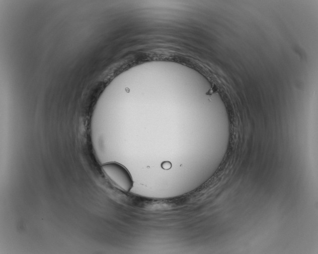 X0000112160759200908070938