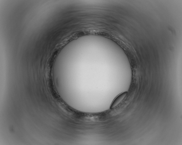 X0000112160760200908070938