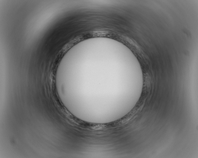 X0000112160761200908070938