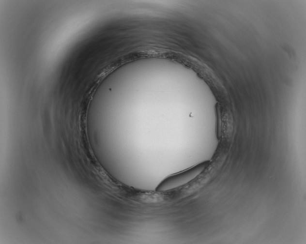 X0000112160762200908070938