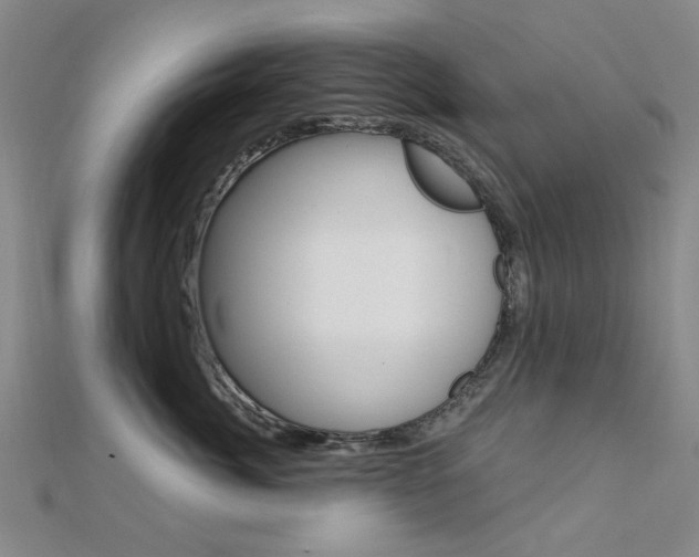X0000112160764200908070938