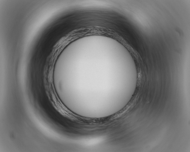 X0000112160765200908070938