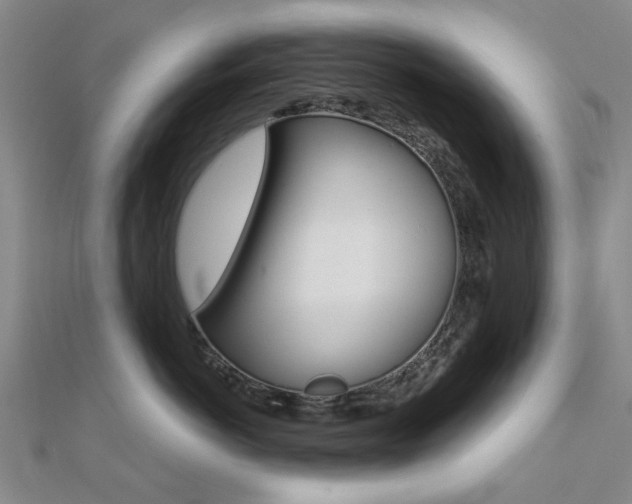 X0000112160766200908070938