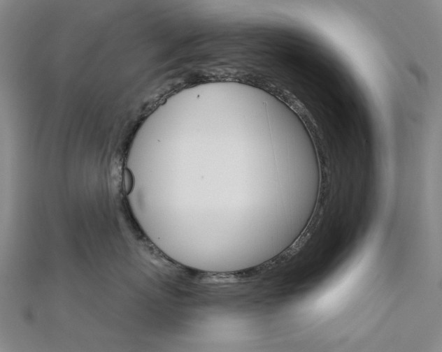 X0000112160767200908070938