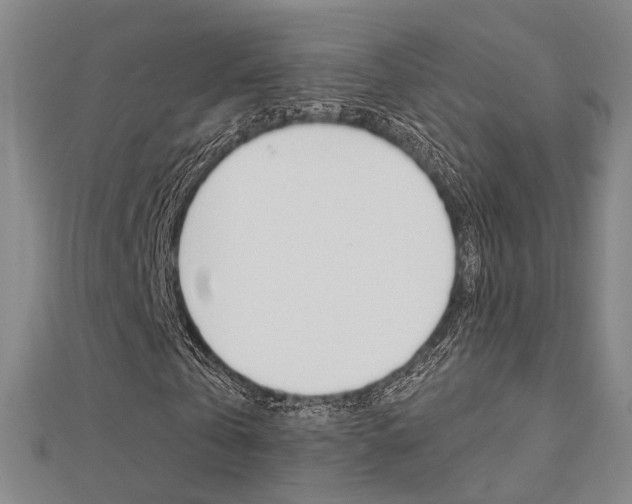 X0000112160769200908070938