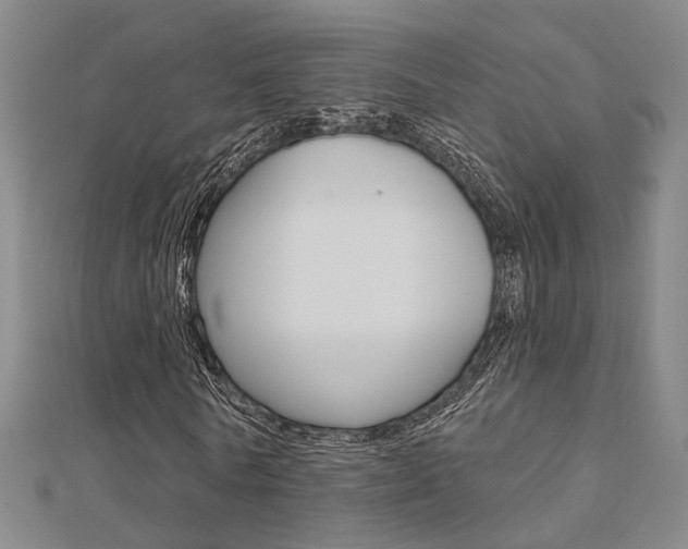 X0000112160770200908070938