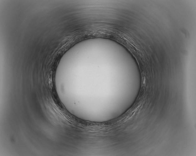 X0000112160771200908070938