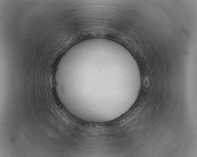 X0000112160772200908070938