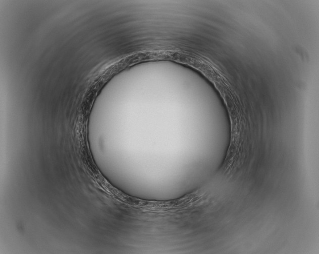 X0000112160773200908070938