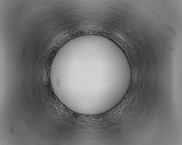 X0000112160774200908070938