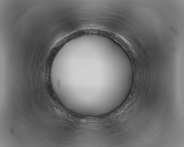 X0000112160775200908070937