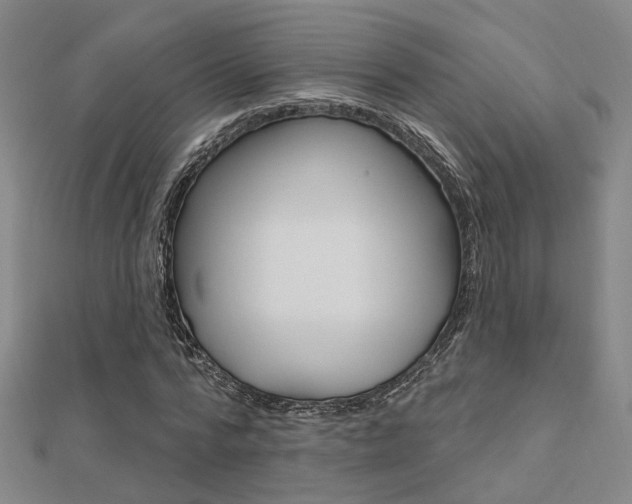 X0000112160776200908070937