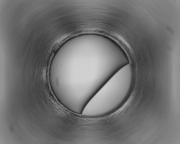 X0000112160777200908070937