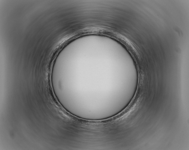 X0000112160778200908070937
