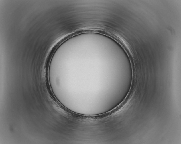 X0000112160779200908070937