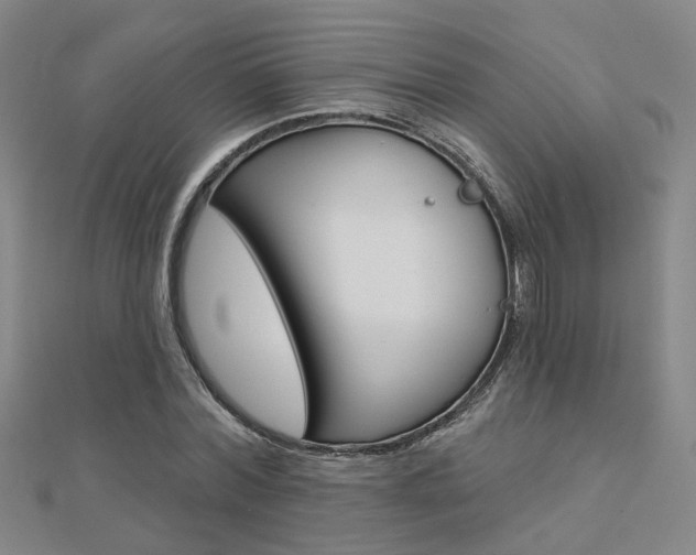 X0000112160780200908070937