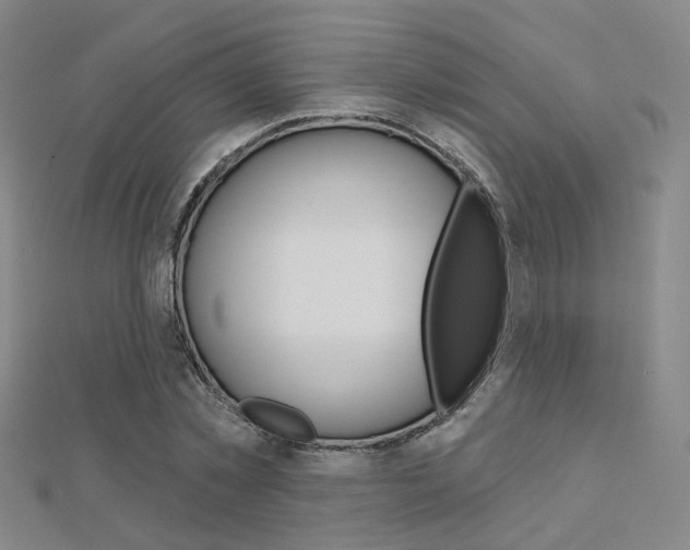 X0000112160781200908070937