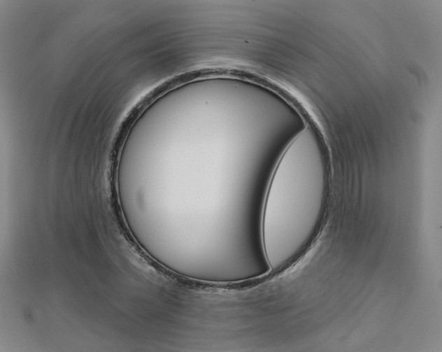 X0000112160783200908070937