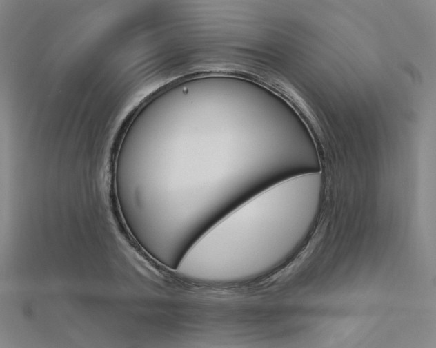 X0000112160787200908070937