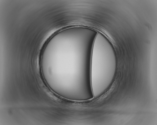 X0000112160788200908070937