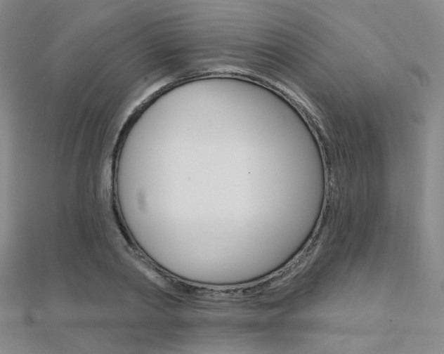 X0000112160790200908070937