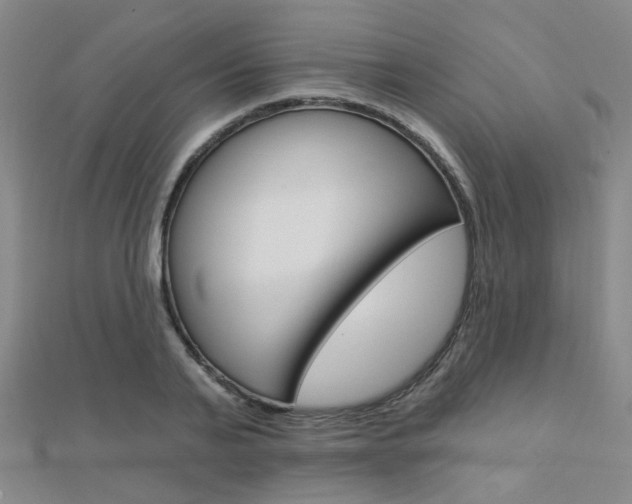 X0000112160791200908070937