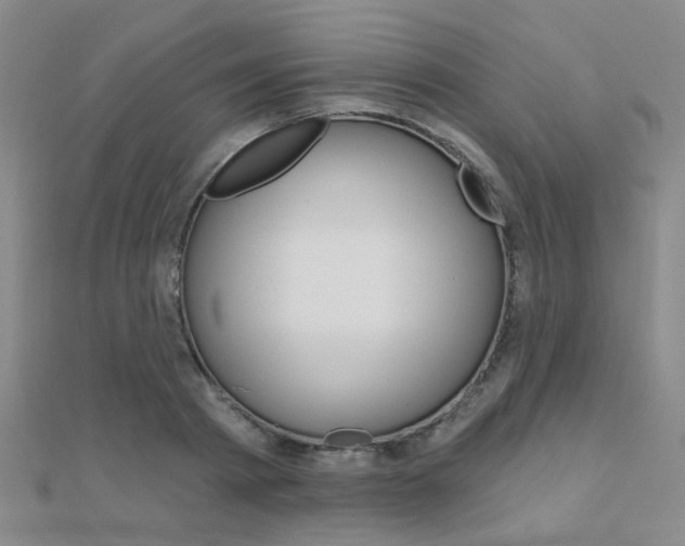 X0000112160793200908070937