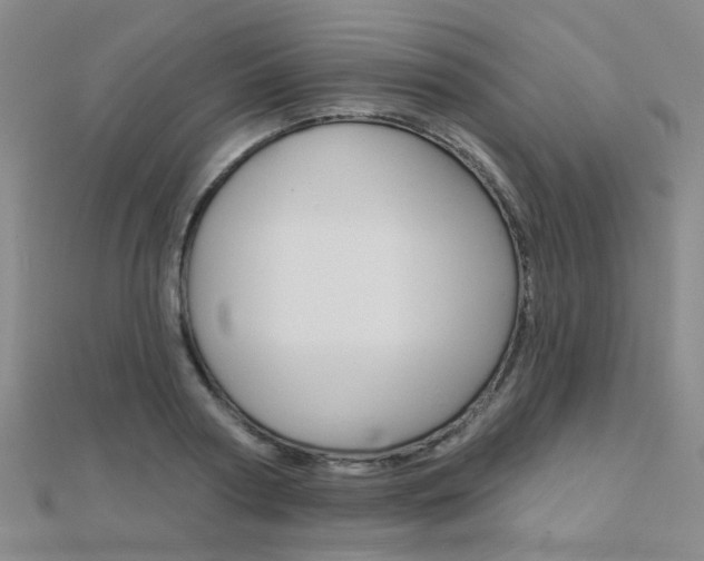 X0000112160794200908070937