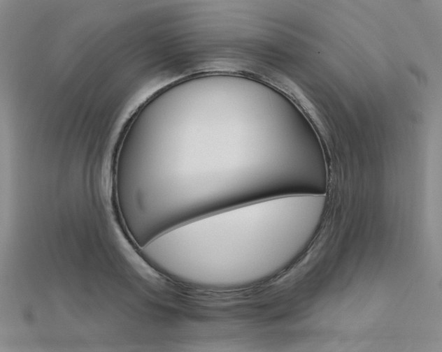 X0000112160795200908070937