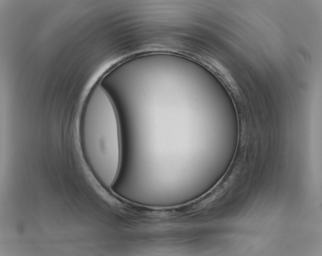 X0000112160796200908070937